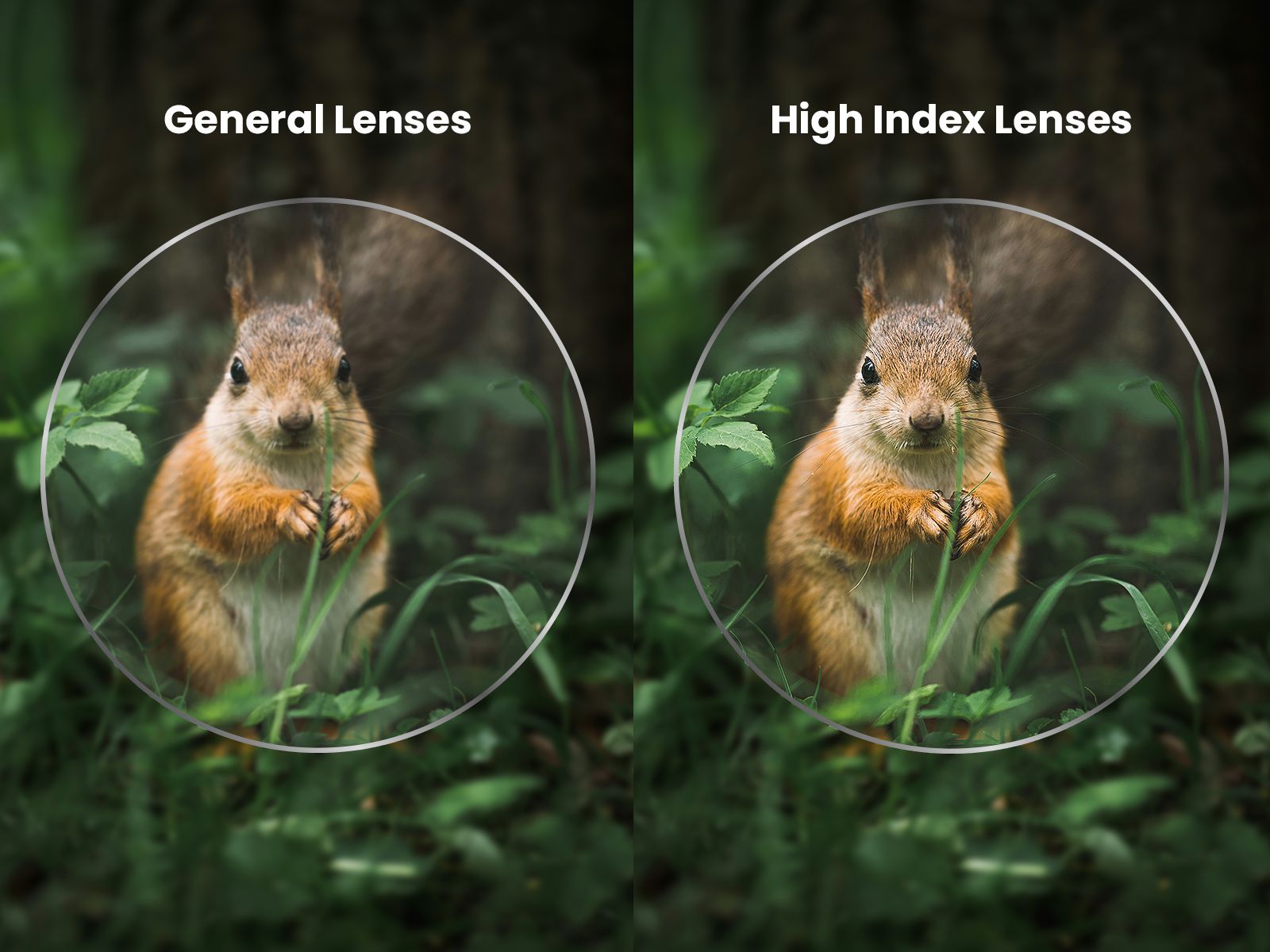 High Index Lenses: The Complete Guide for Stronger Prescriptions