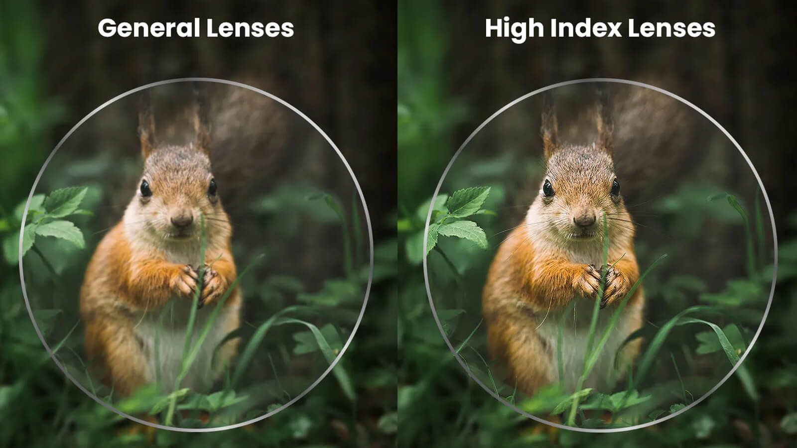 High-Index Lenses: Your Guide to Thinner, Lighter Glasses