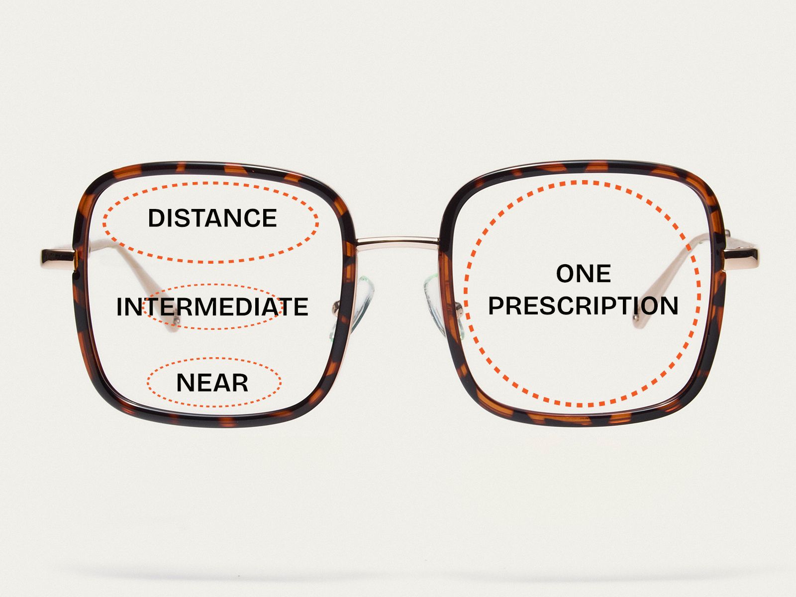 Complete Guide to Single Vision vs. Progressive Lenses
