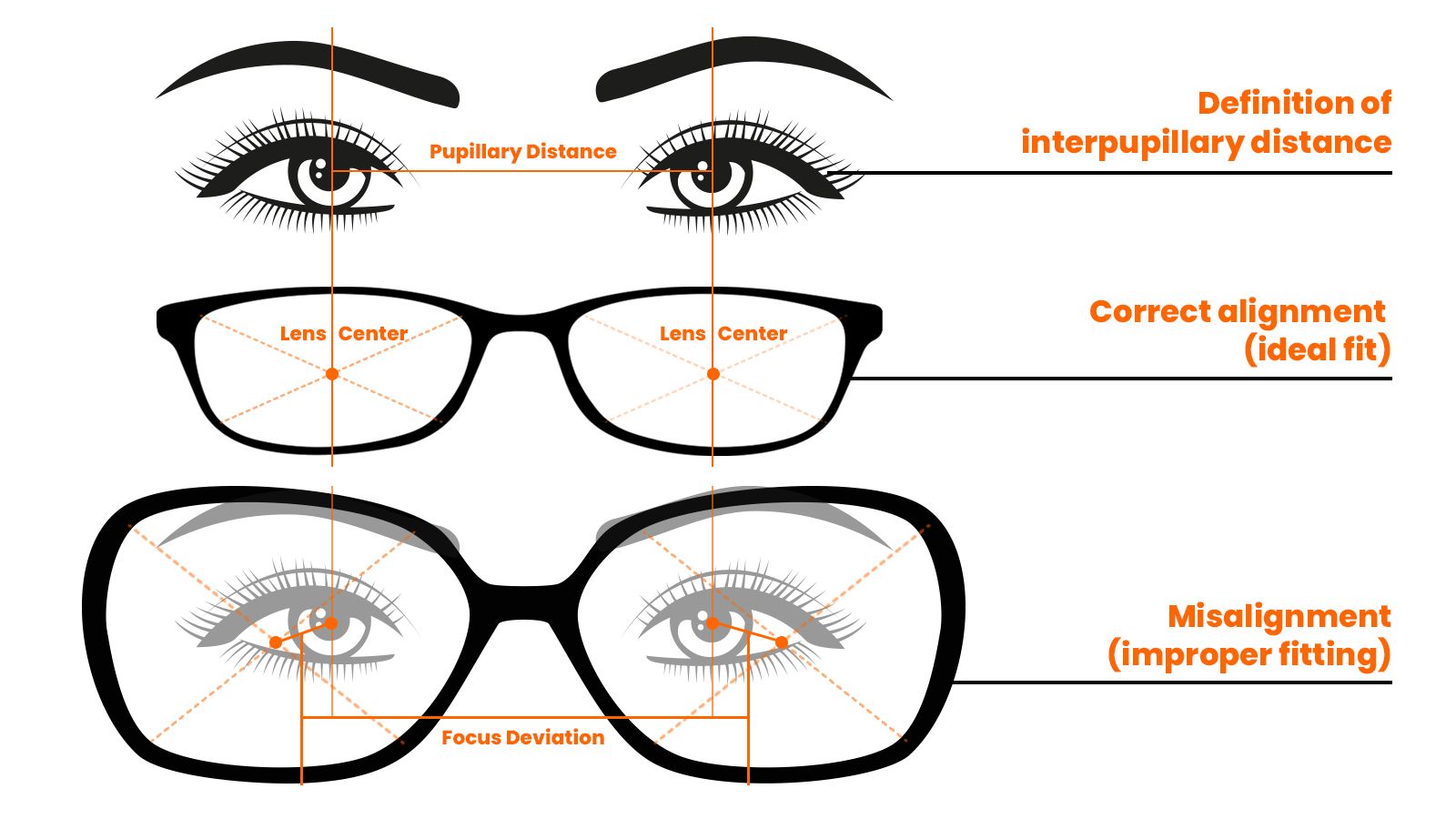 How Your Eyeglasses Dictate Your Vision and Comfort