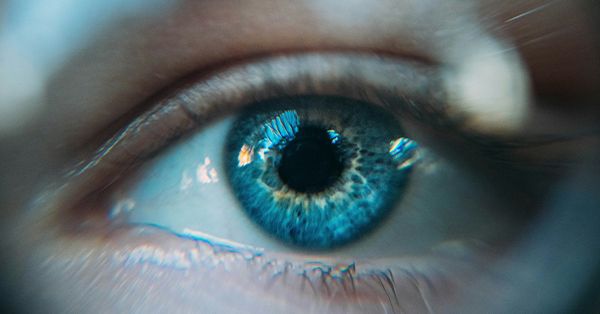 Blue Eyes: Unveiling the Mystique Behind the Hue