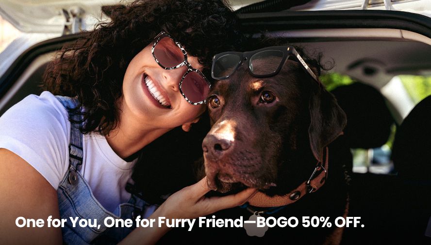 Grab the latest eyewear trends in Vooglam in a timely manner