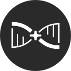 icon for The Decoder