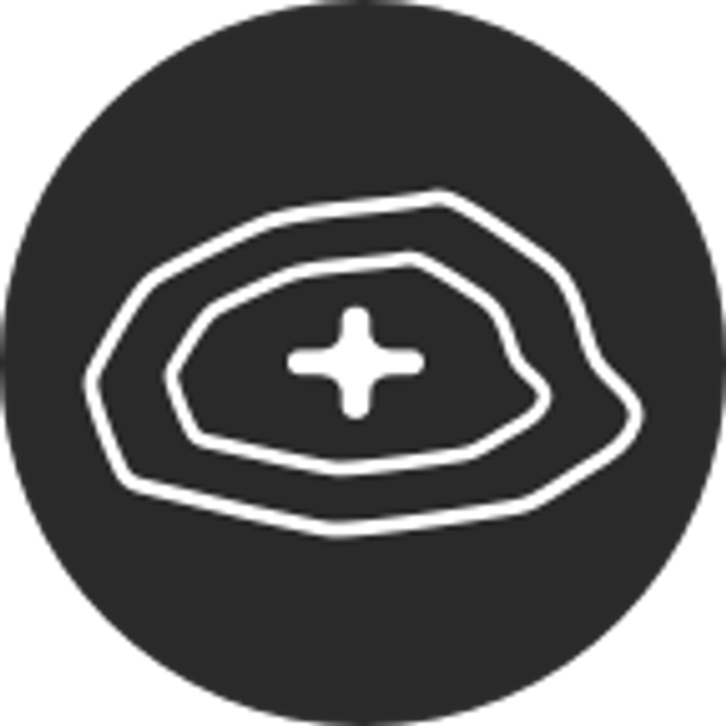 icon for The Geologist