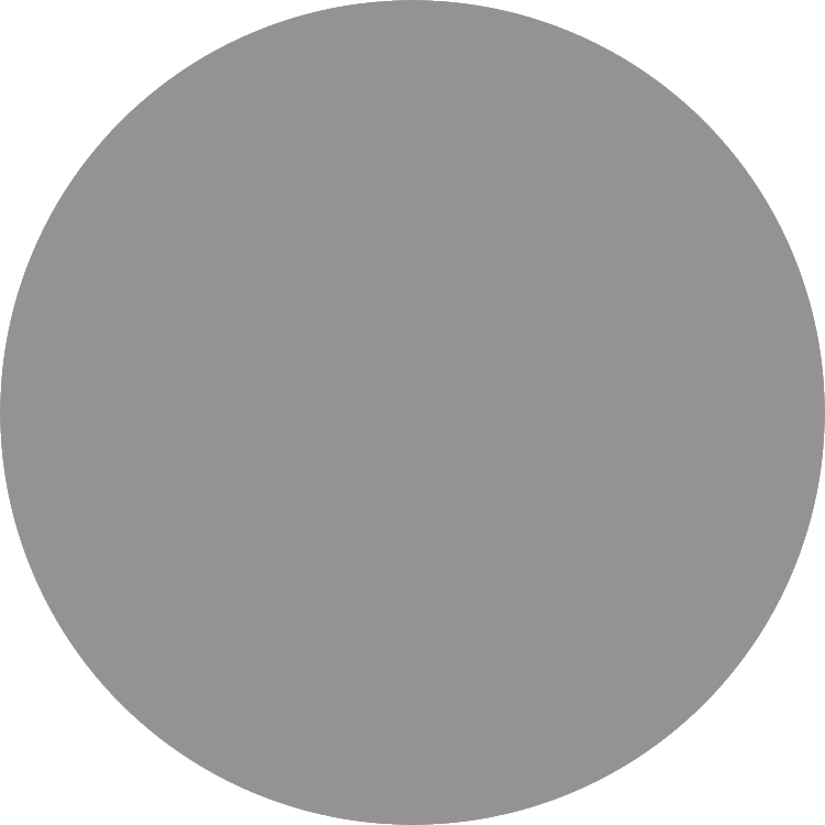 Slate Grey