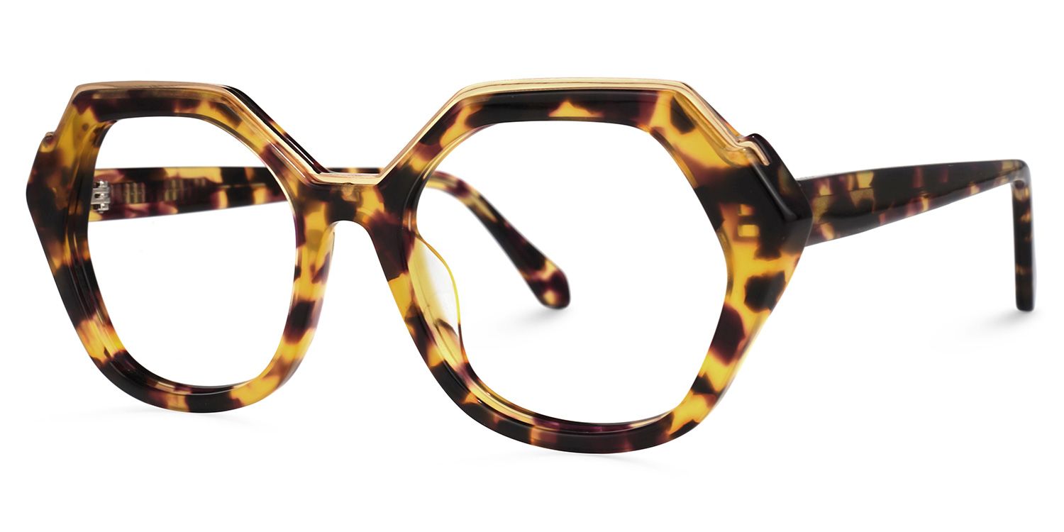 Maldonado - Geometric Tortoise Eyeglasses | Vooglam Front View