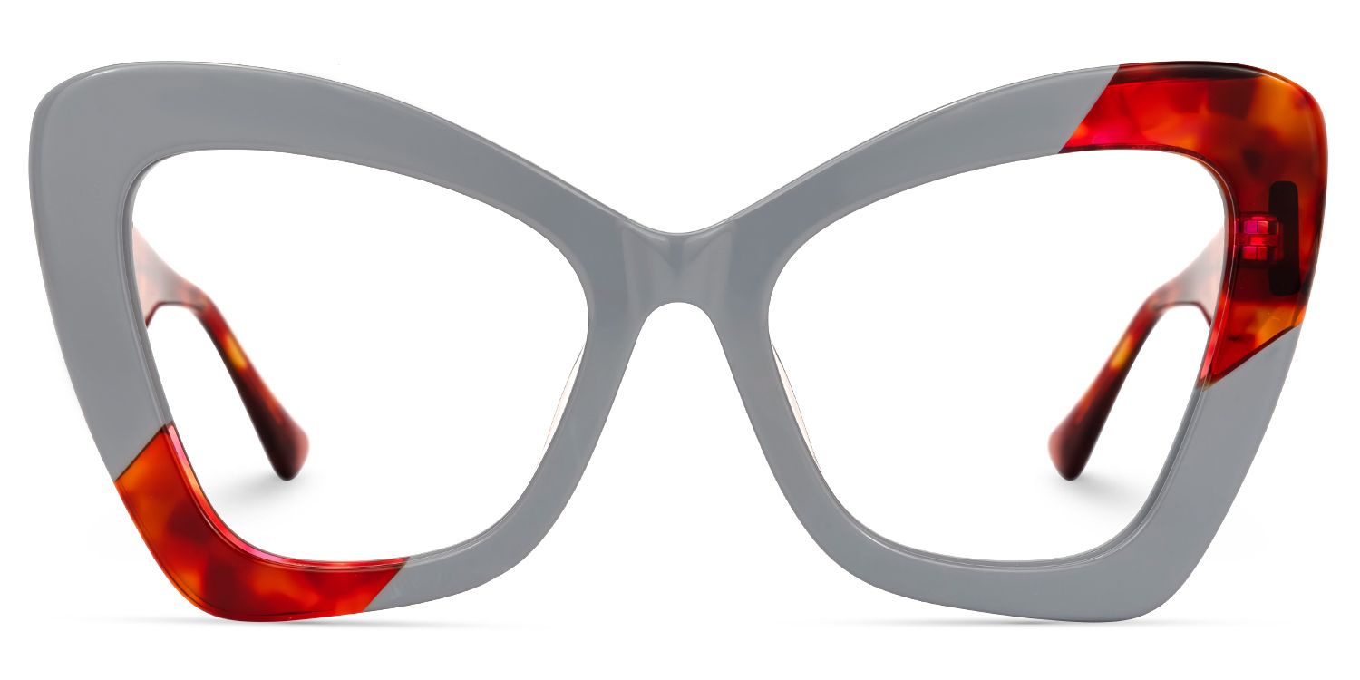 Aceso - Butterfly Grey/Tortoise Eyeglasses by Vooglam - Angle View