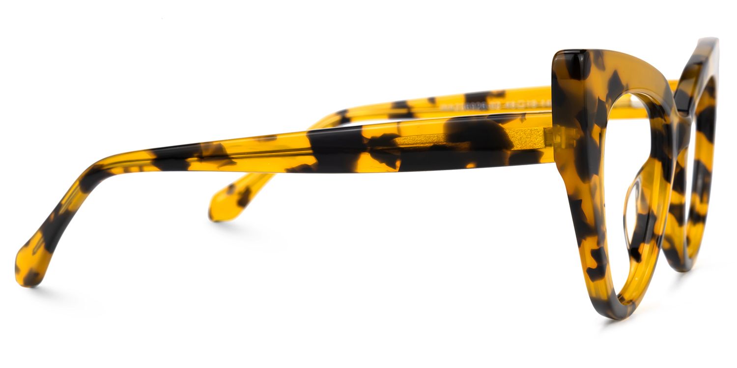 Shawana - Cat Eye Tortoise Eyeglasses | Vooglam 4