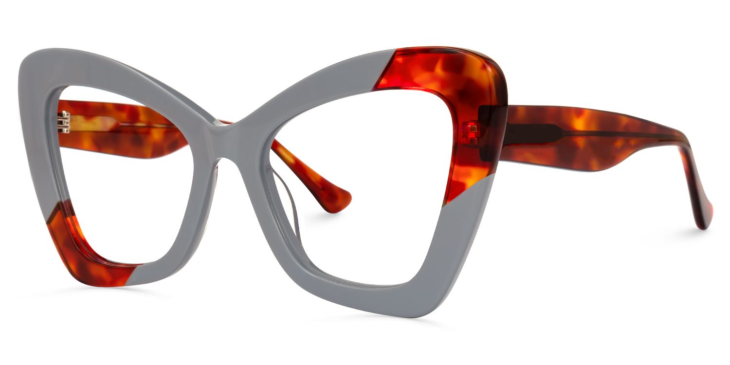 Aceso - Butterfly Grey/Tortoise Eyeglasses by Vooglam - Front View