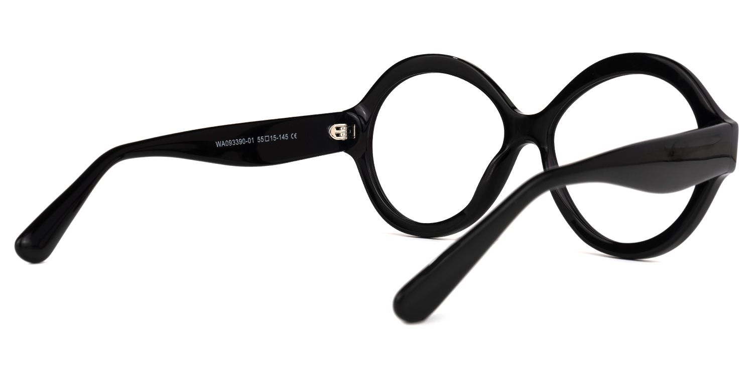 Robles - Round Black Eyeglasses product detail 3