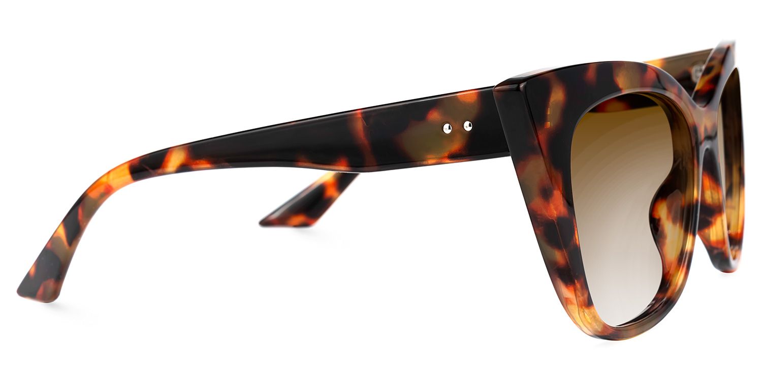 Gwin - Cat Eye Tortoise Sunglasses by Vooglam - Product View 4