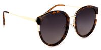 Cat Eye Tortoise Sunglasses | Vooglam.com