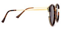 Cat Eye Tortoise Sunglasses | Vooglam.com