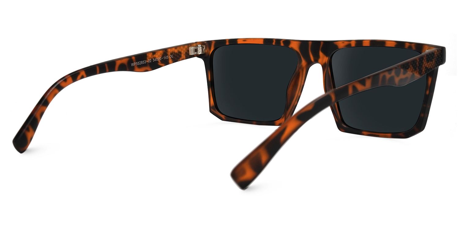 Kerry - Square Tortoise Sunglasses product detail 3