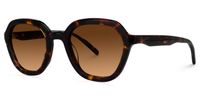 Malcolm - Round Tortoise Sunglasses - 2
