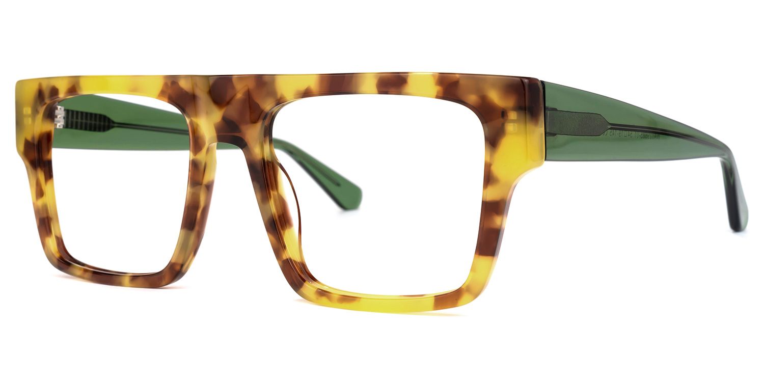 Muara - Aviator Tortoise Eyeglasses | Vooglam Front View