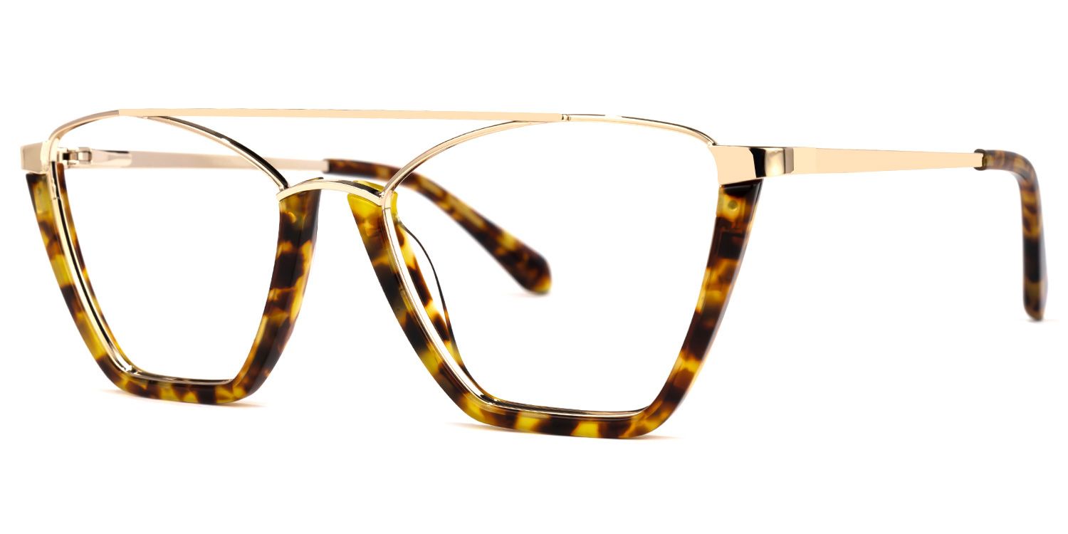 Guinto - Aviator Tortoise Eyeglasses | Vooglam Front View