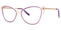 Mendoza - Cat Eye Purple Eyeglasses | Vooglam Front View