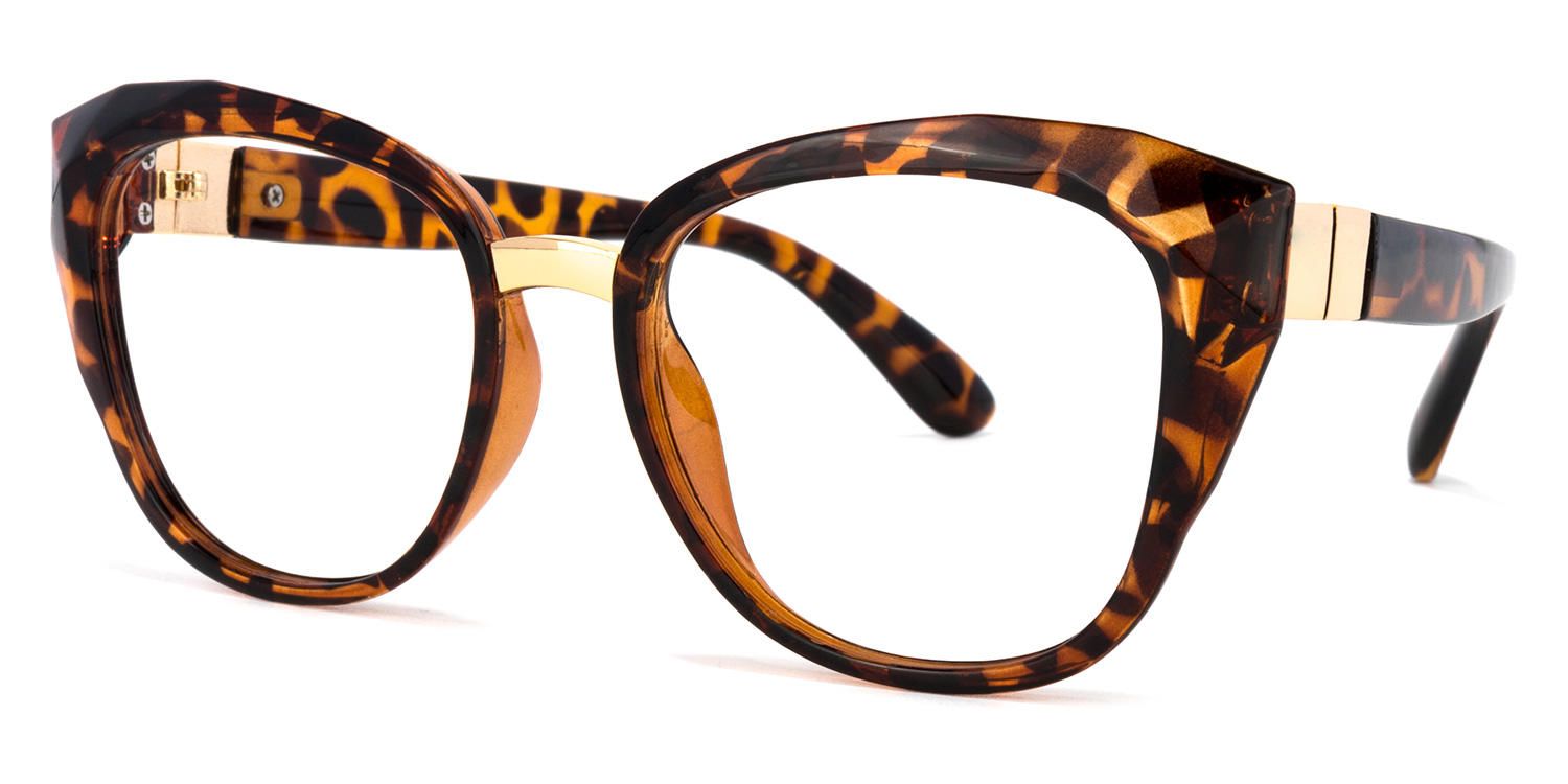 Cat Eye Tortoise Eyeglasses | Vooglam.com Front View