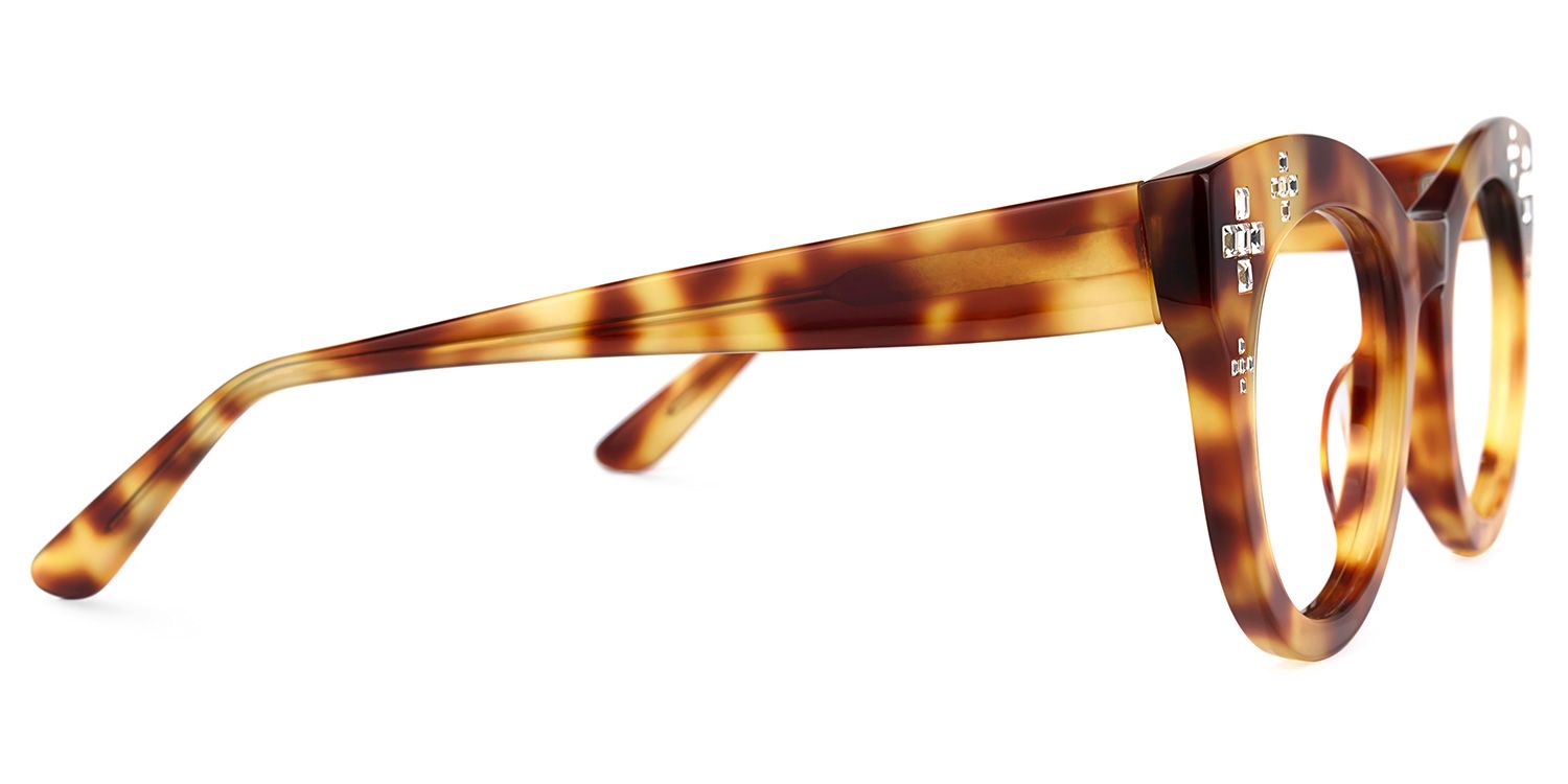 Dembo - Round Tortoise Eyeglasses | Vooglam 4