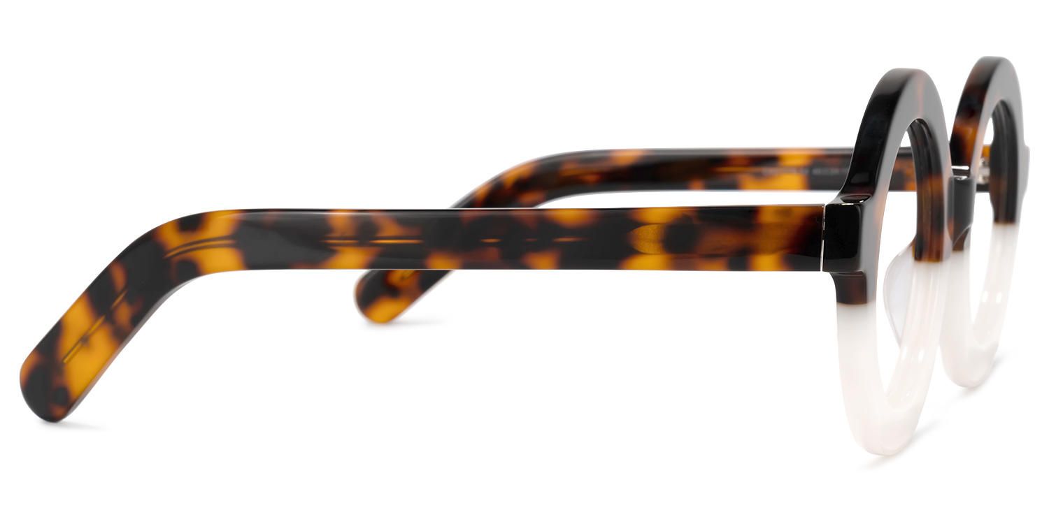 Almon - Round Tortoise Eyeglasses | Vooglam 4