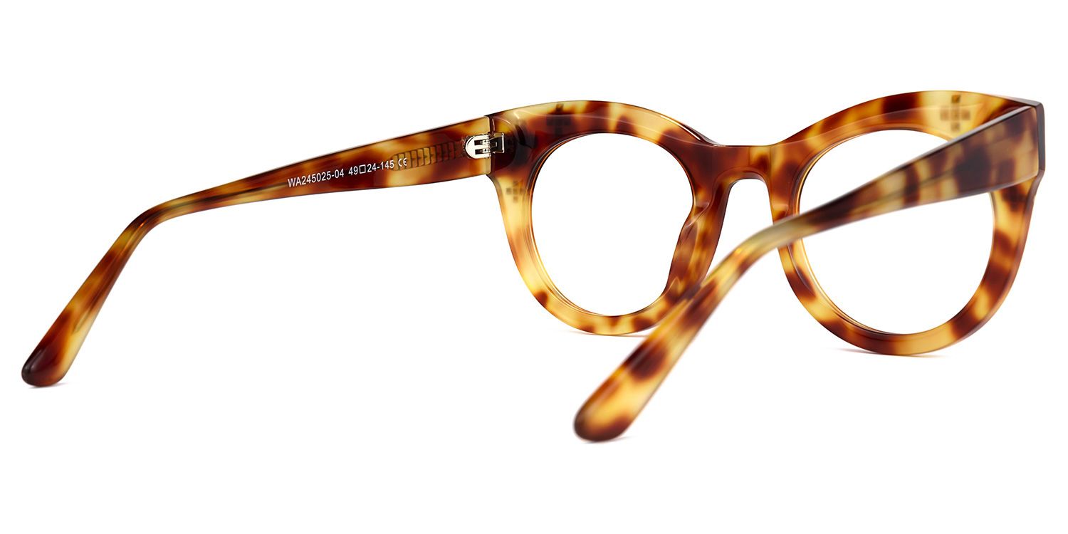 Dembo - Round Tortoise Eyeglasses | Vooglam Side View