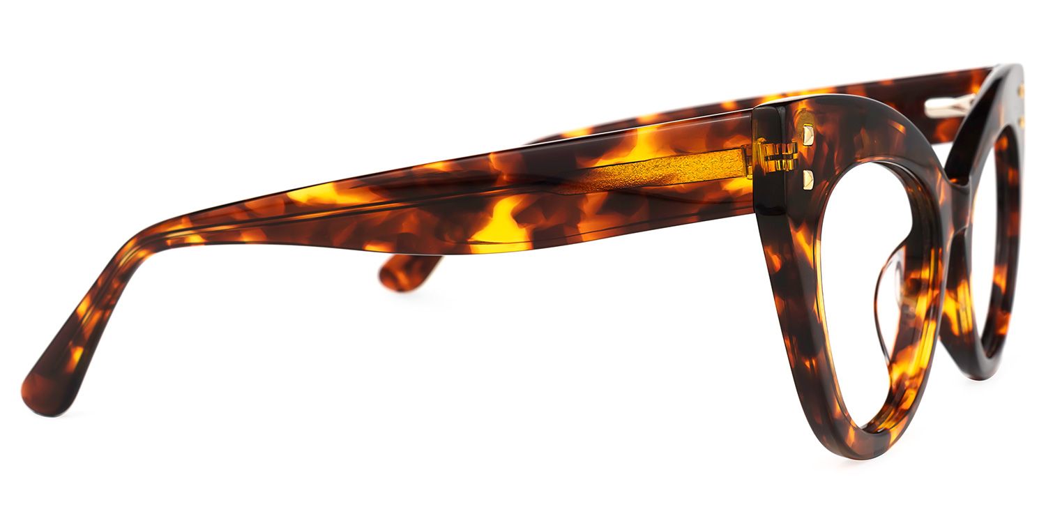 Mancilla - Cat Eye Tortoise Eyeglasses | Vooglam 4