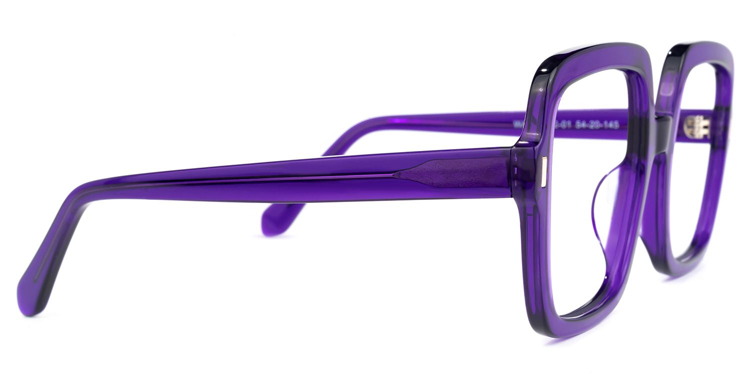 Esparza - Square Purple Eyeglasses | Vooglam 4