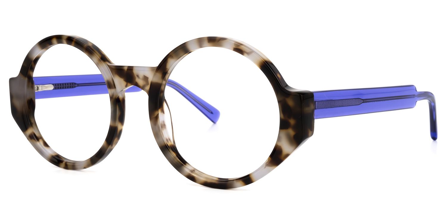 Round Tortoise Eyeglasses | Vooglam.com Front View