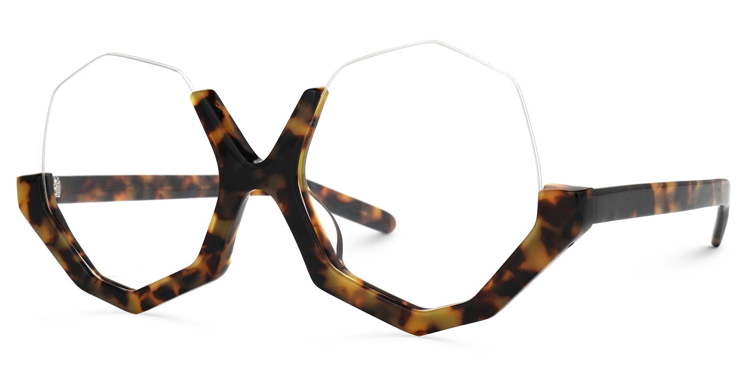 Geometric Tortoise Eyeglasses | Vooglam.com Front View