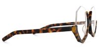 Geometric Tortoise Eyeglasses | Vooglam.com 