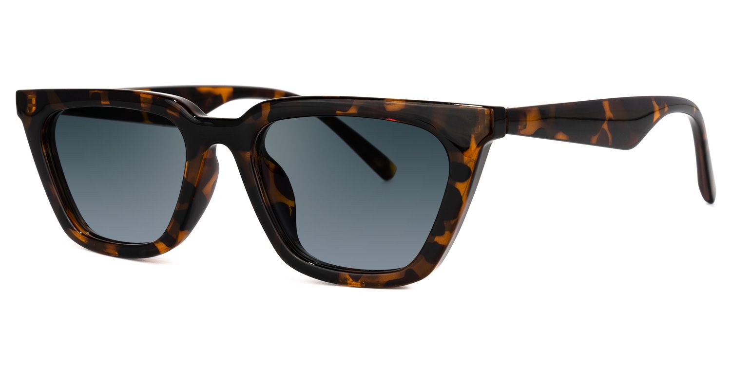 Cat Eye Tortoise Sunglasses | Vooglam.com Front View
