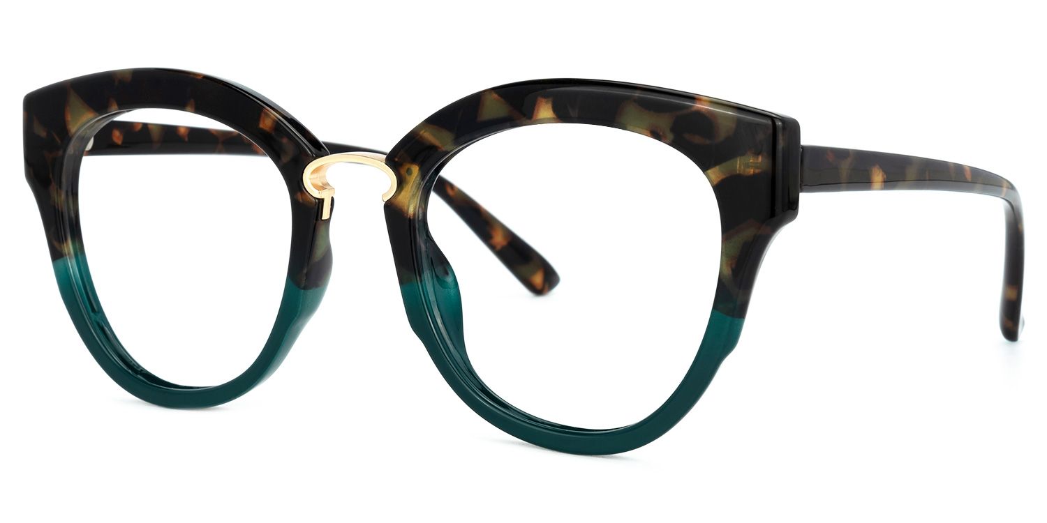 Round Tortoise Eyeglasses | Vooglam.com Front View