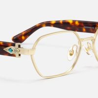 Orion - Gold Tortoise Geometric Glasses | Vooglam Design Details
