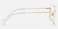 Haze - Butterfly Transparent Eyeglasses | Vooglam Side View