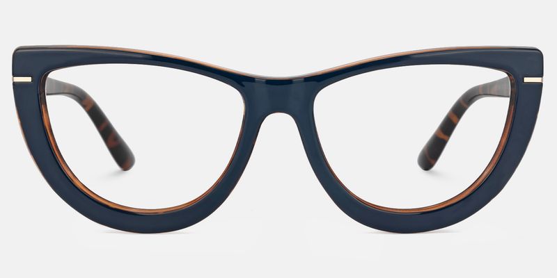 Rhea - Dark Blue Frame Glasses Tortoise Details