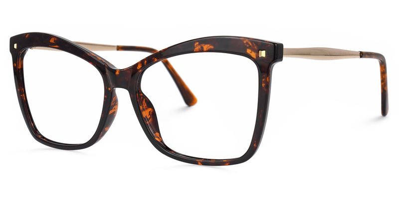 Trendy Libby Tortoise Butterfly-Shaped Glasses | Vooglam