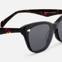 Fineen - Cat Eye Tortoise Clip-on Sunglasses | Vooglam Design Details