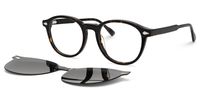 Ferguson - Round Tortoise Sunglasses | Vooglam 