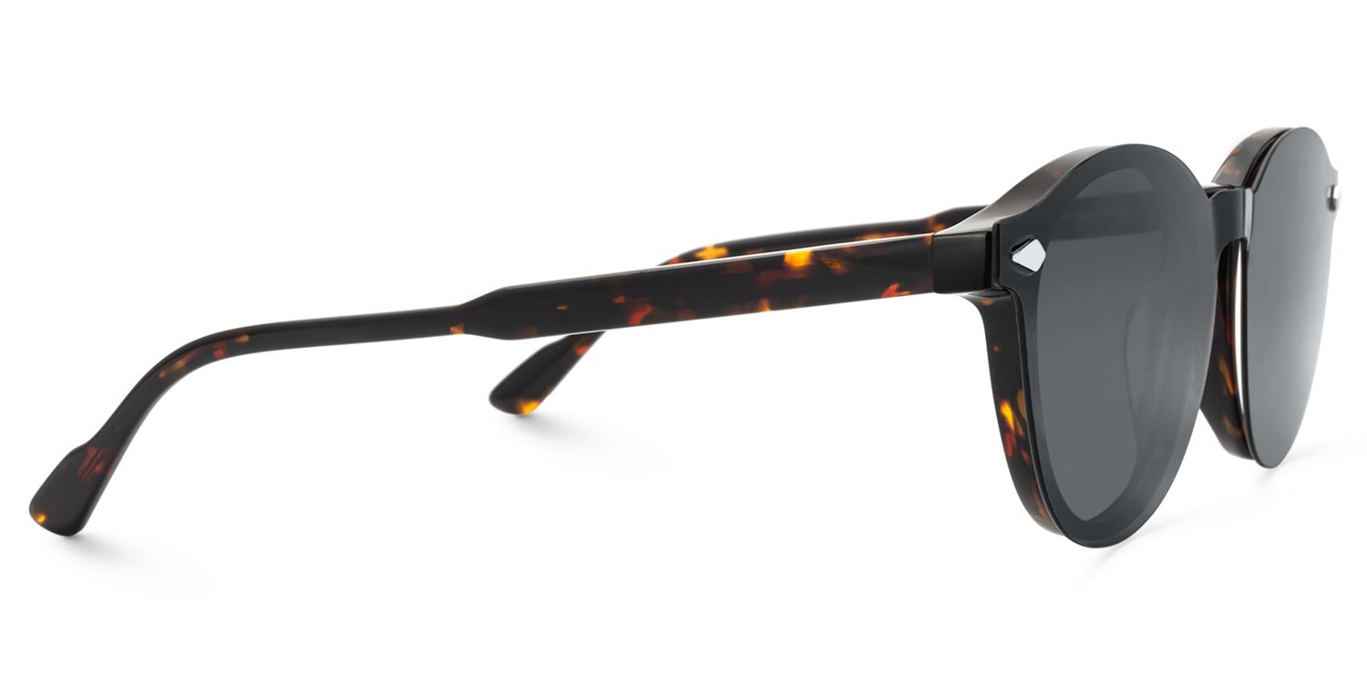 Ferguson - Round Tortoise Sunglasses | Vooglam 5