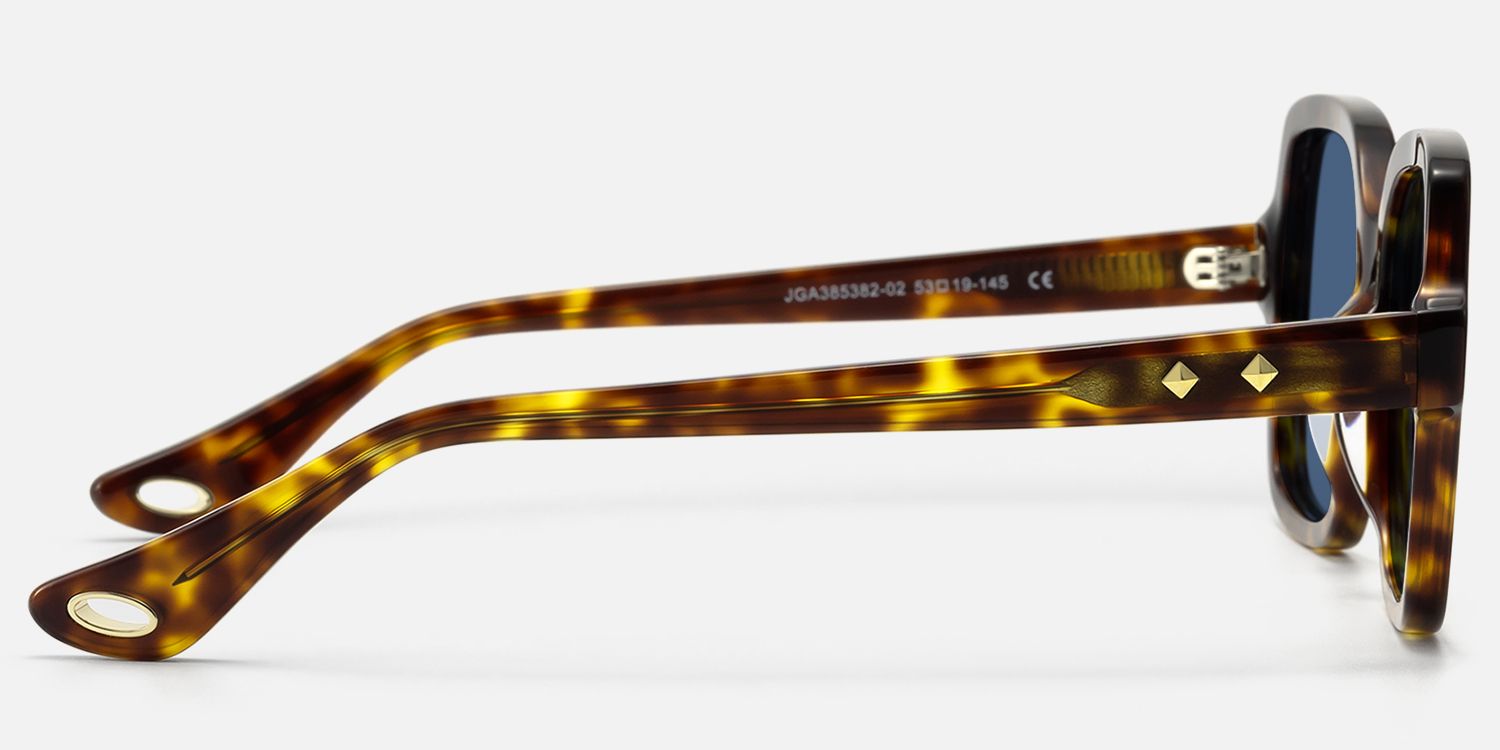 Meridian - Square Tortoise Acetate Sunglasses | Vooglam Side View