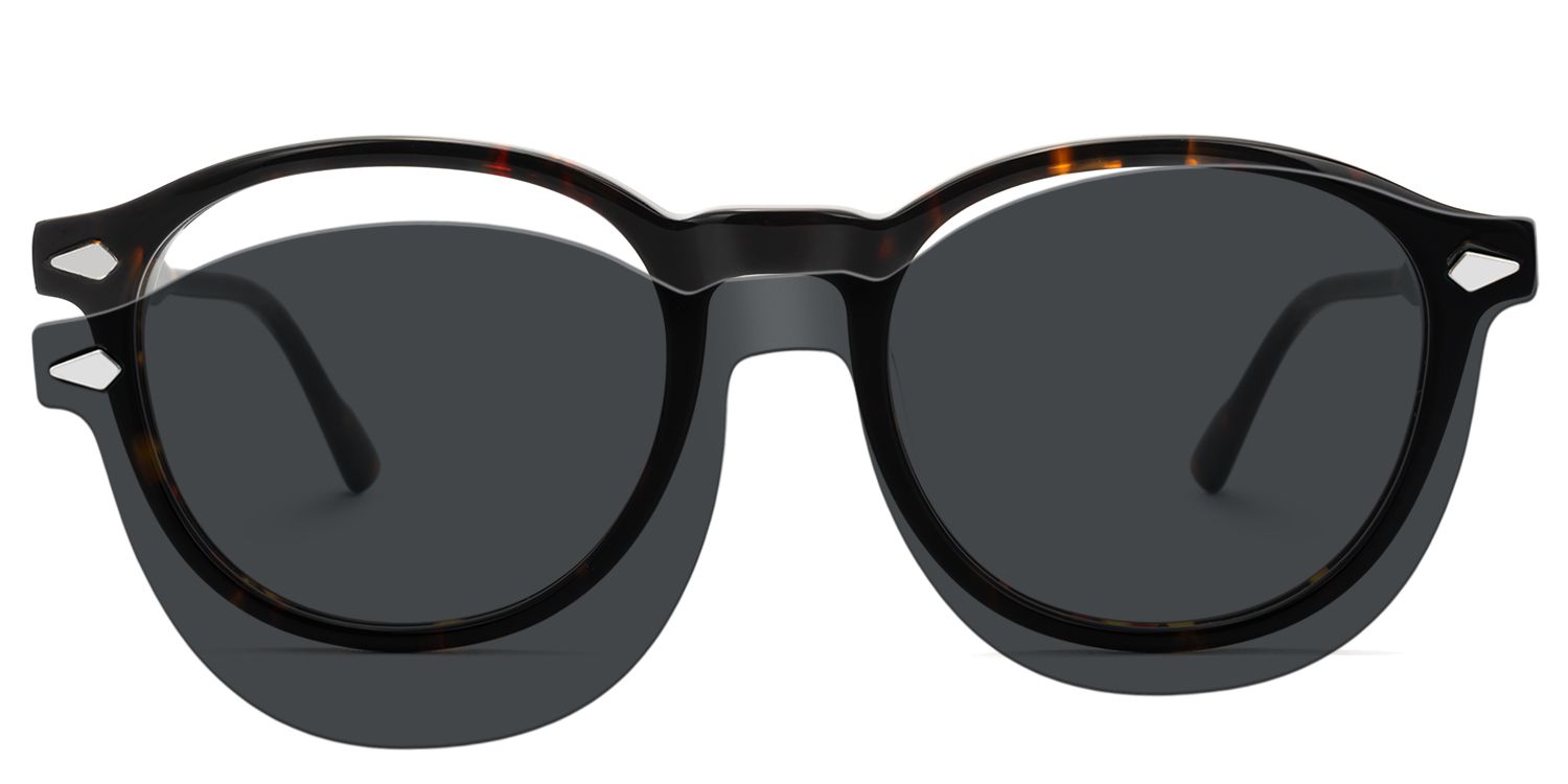 Ferguson - Round Tortoise Sunglasses | Vooglam Angle View
