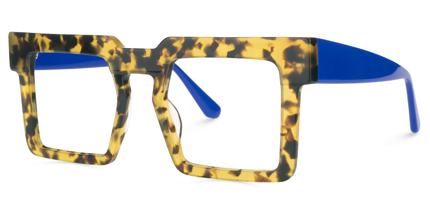 Elinoah - Square Tortoise Eyeglasses | Vooglam Front View