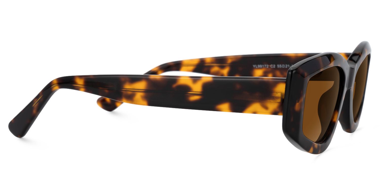 Elijah - Geometric Tortoise Prescription Sunglasses by Vooglam - Product View 4