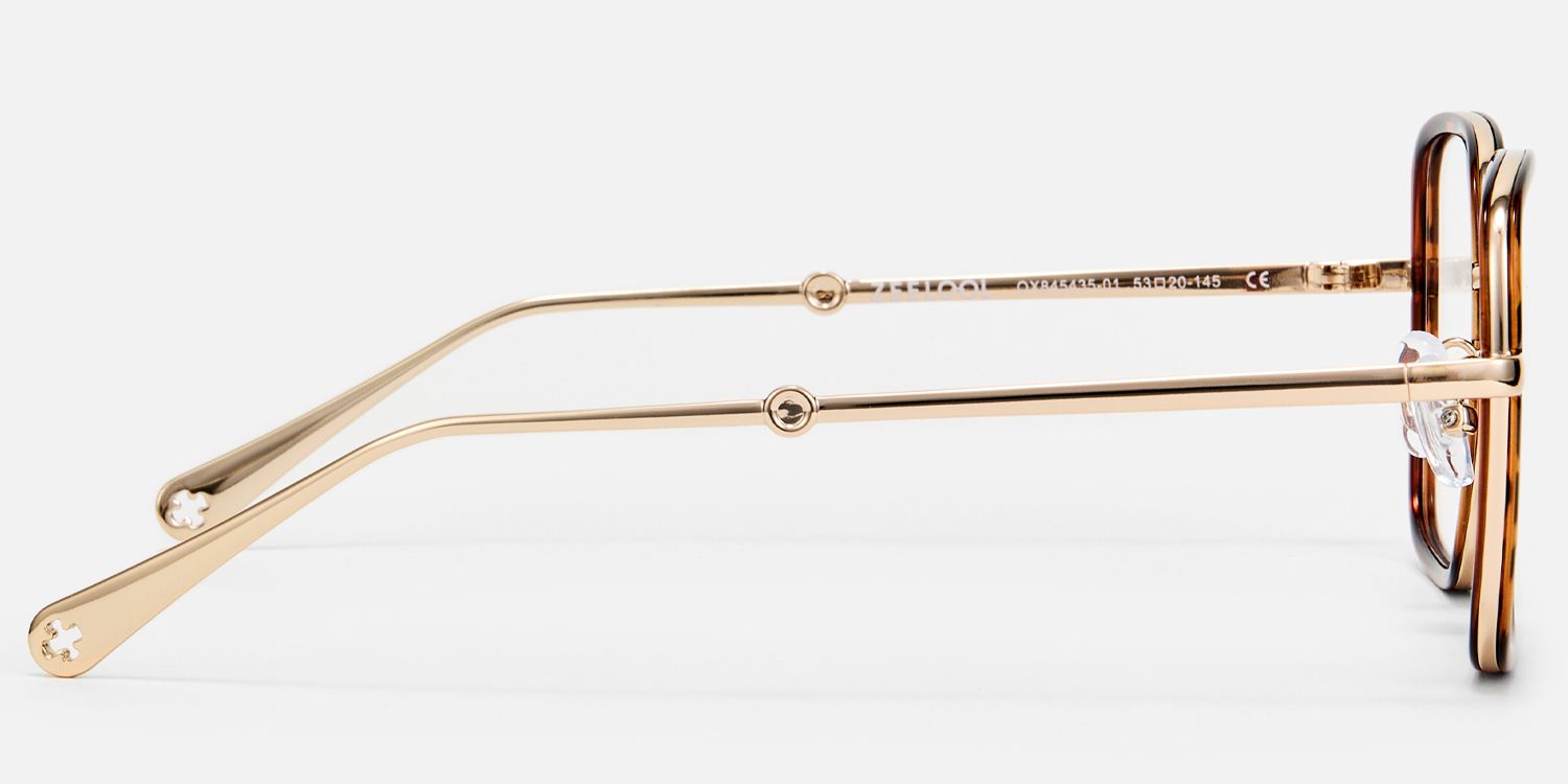 Jace - Retro Tortoise Shell Glasses Gold Temples product detail 3