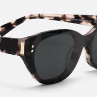 Cicely - Tortoise Cat Eye Sunglasses | Vooglam Design Details