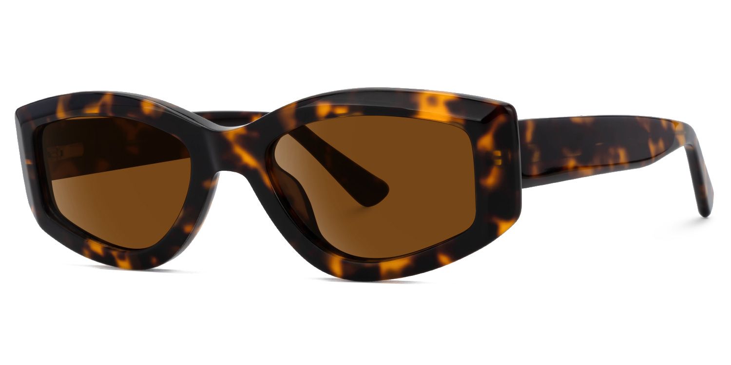 Elijah - Geometric Tortoise Prescription Sunglasses by Vooglam - Front View