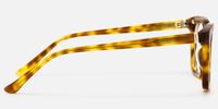 Chaparral - Desert Punk Rectangle Tortoise Glasses | Vooglam Side View