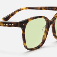 Spacek - Glam Punk Square Tortoise Sunglasses | Vooglam Design Details