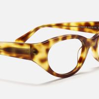 Drizzle - Oval Tortoise Eyeglasses | Vooglam Design Details